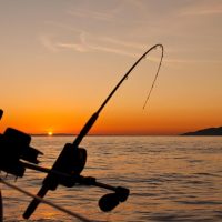 Pesca Deportiva en Ixtapa Zihutanejo