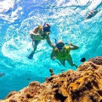 Buceo / Snorkel en Ixtapa-Zihuatanejo